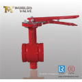 Grooved Butterfly Valve (WDS)